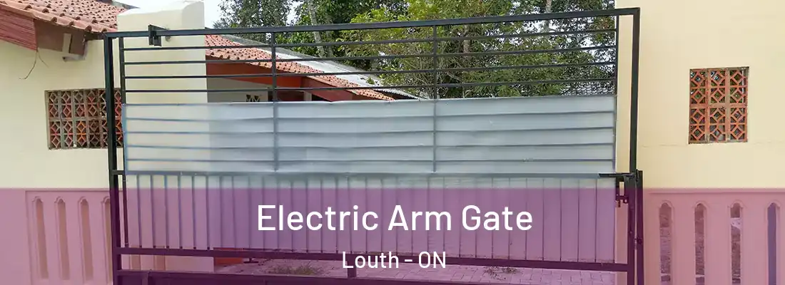  Electric Arm Gate Louth - ON