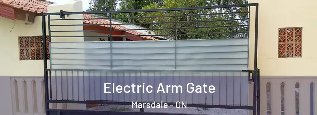  Electric Arm Gate Marsdale - ON