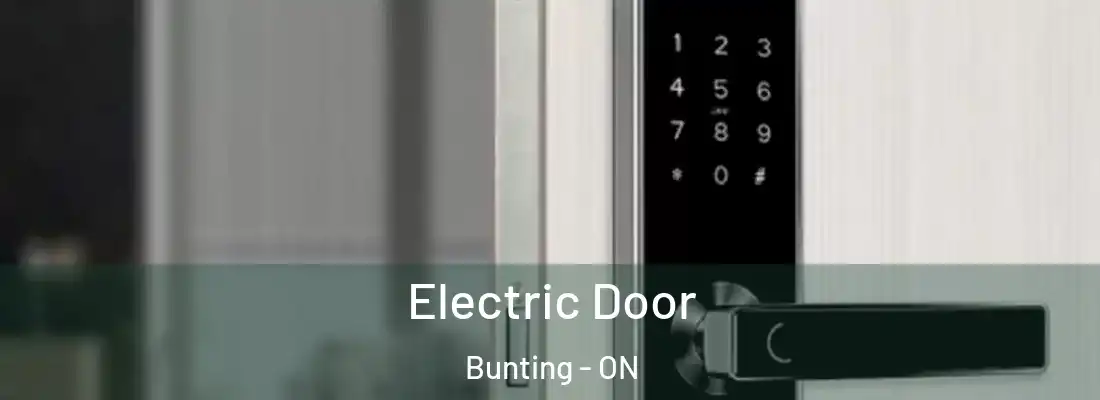  Electric Door Bunting - ON