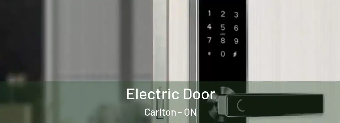  Electric Door Carlton - ON