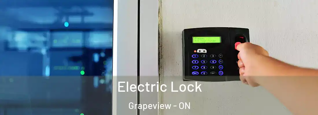  Electric Lock Grapeview - ON