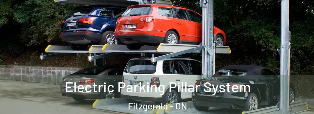 Electric Parking Pillar System Fitzgerald - ON