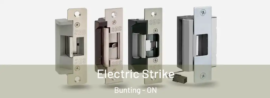 Electric Strike Bunting - ON