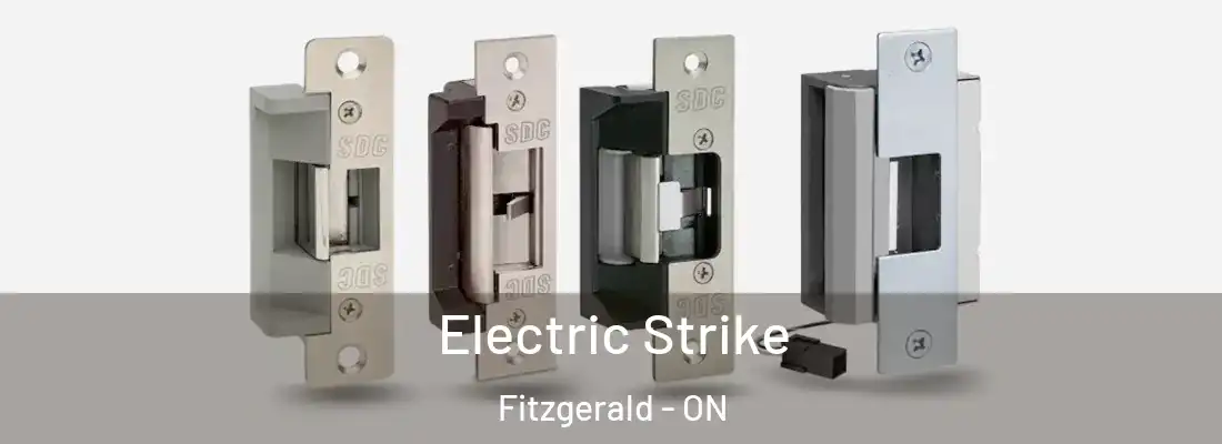 Electric Strike Fitzgerald - ON