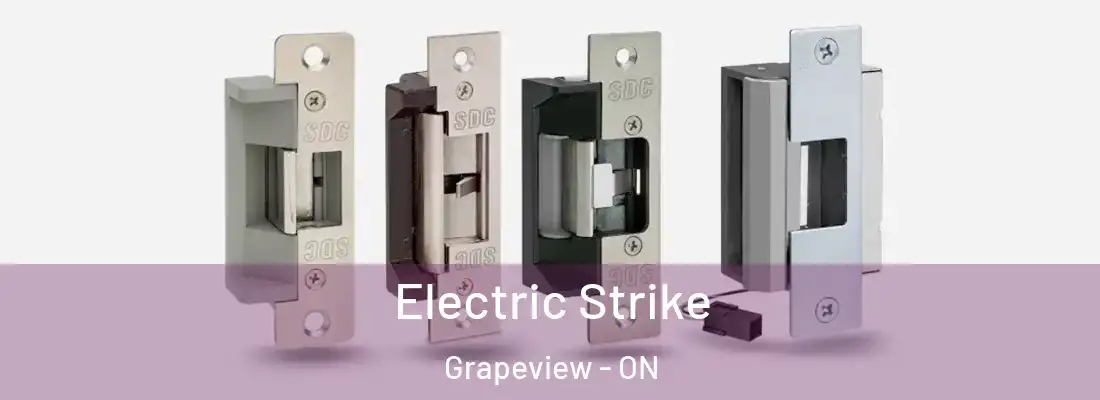  Electric Strike Grapeview - ON