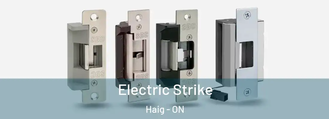 Electric Strike Haig - ON
