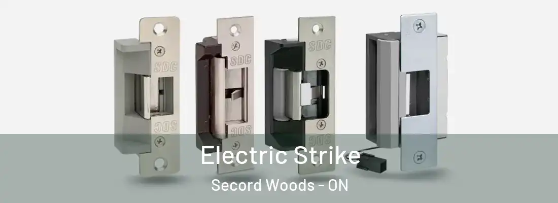  Electric Strike Secord Woods - ON