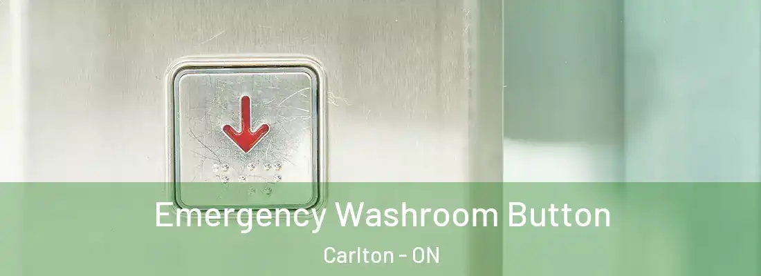  Emergency Washroom Button Carlton - ON