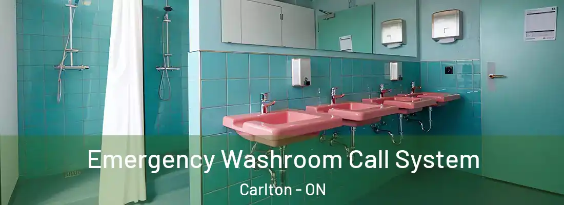  Emergency Washroom Call System Carlton - ON