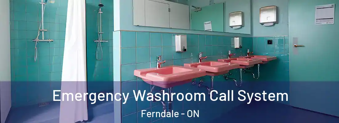  Emergency Washroom Call System Ferndale - ON