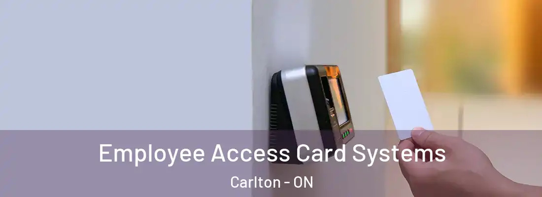 Employee Access Card Systems Carlton - ON