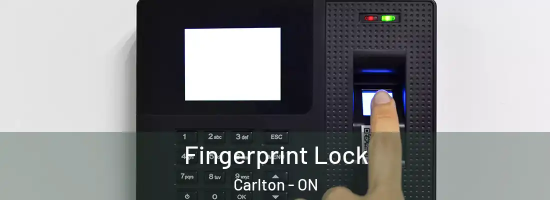  Fingerprint Lock Carlton - ON
