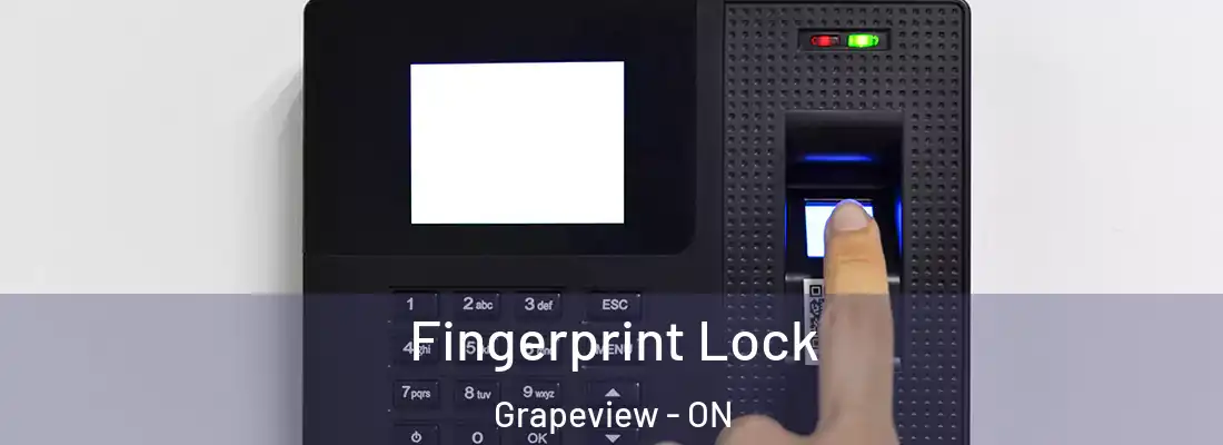  Fingerprint Lock Grapeview - ON