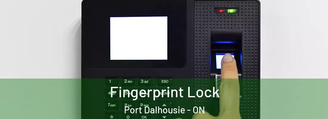  Fingerprint Lock Port Dalhousie - ON