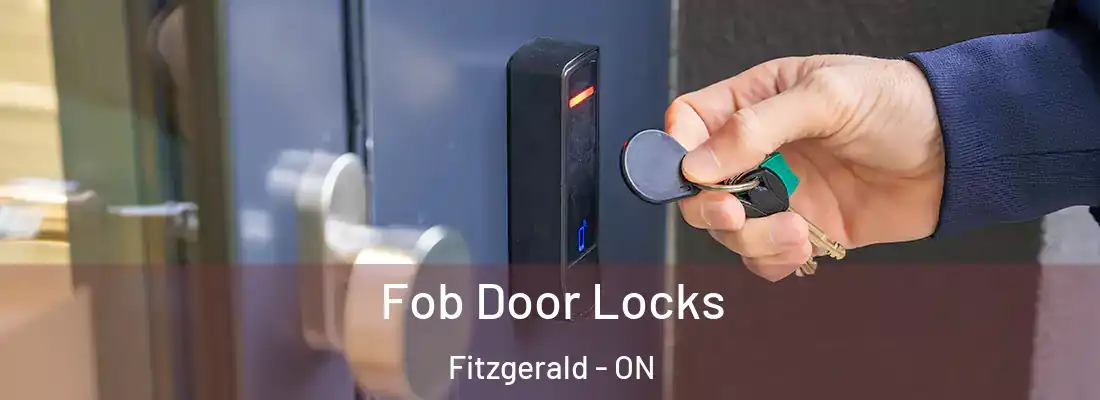  Fob Door Locks Fitzgerald - ON