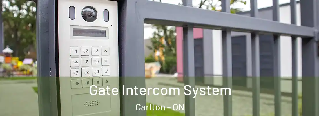  Gate Intercom System Carlton - ON