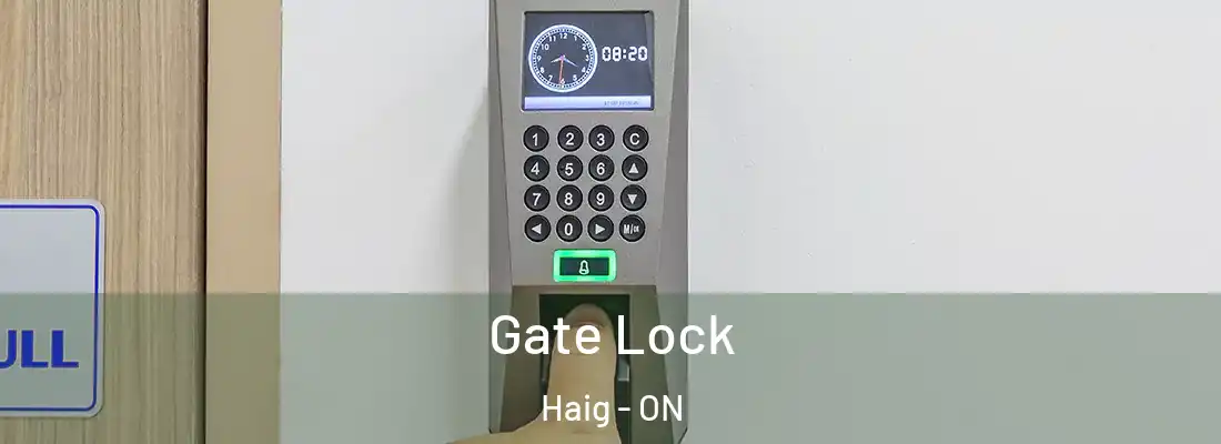  Gate Lock Haig - ON