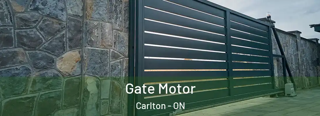  Gate Motor Carlton - ON