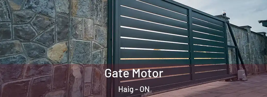  Gate Motor Haig - ON