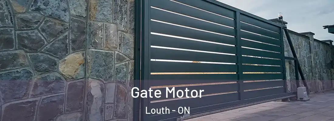  Gate Motor Louth - ON