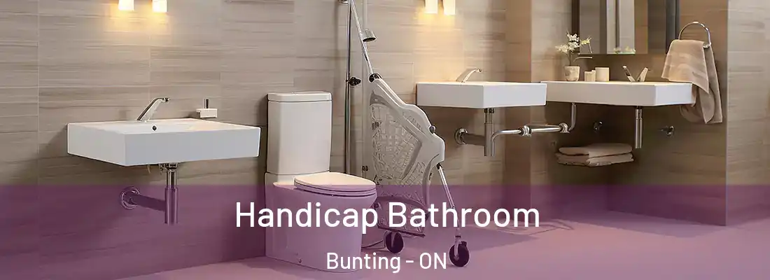  Handicap Bathroom Bunting - ON