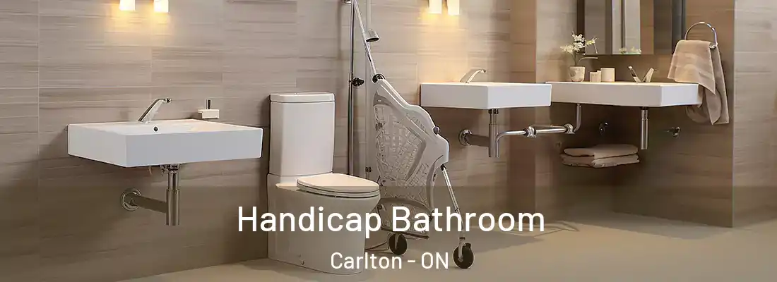  Handicap Bathroom Carlton - ON