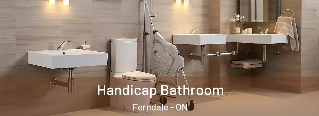  Handicap Bathroom Ferndale - ON