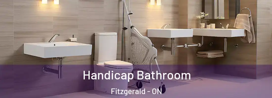  Handicap Bathroom Fitzgerald - ON