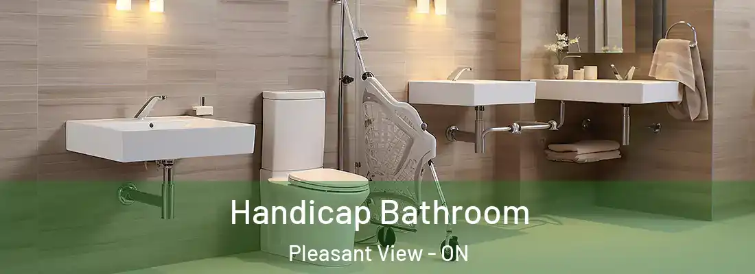  Handicap Bathroom Pleasant View - ON