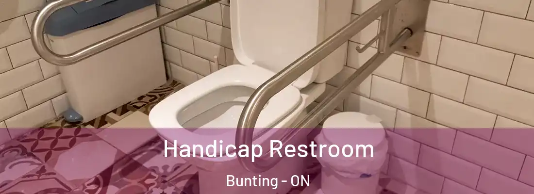 Handicap Restroom Bunting - ON