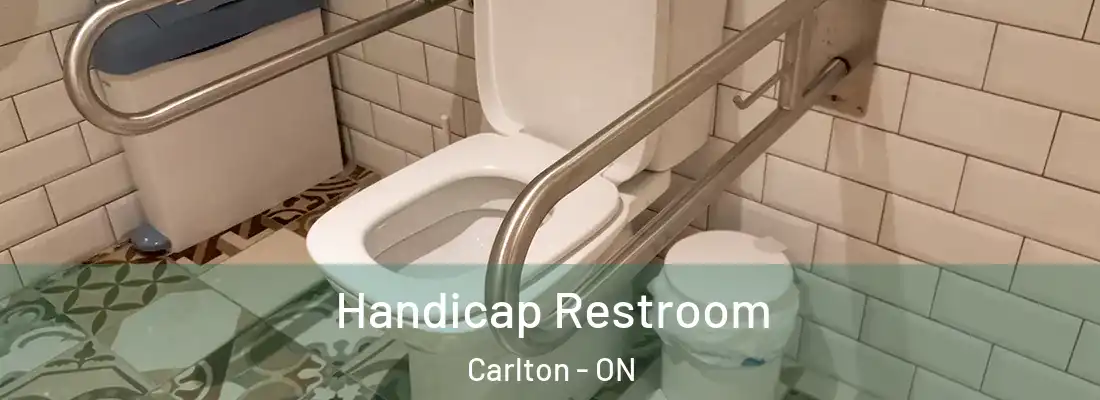  Handicap Restroom Carlton - ON
