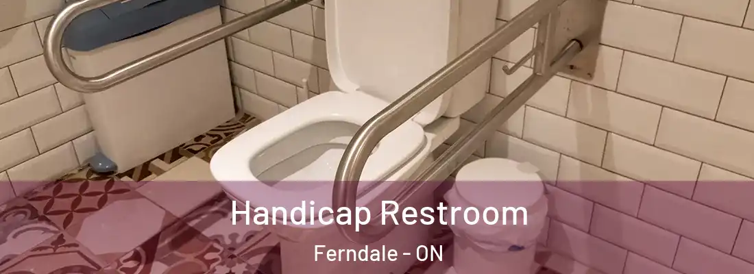  Handicap Restroom Ferndale - ON