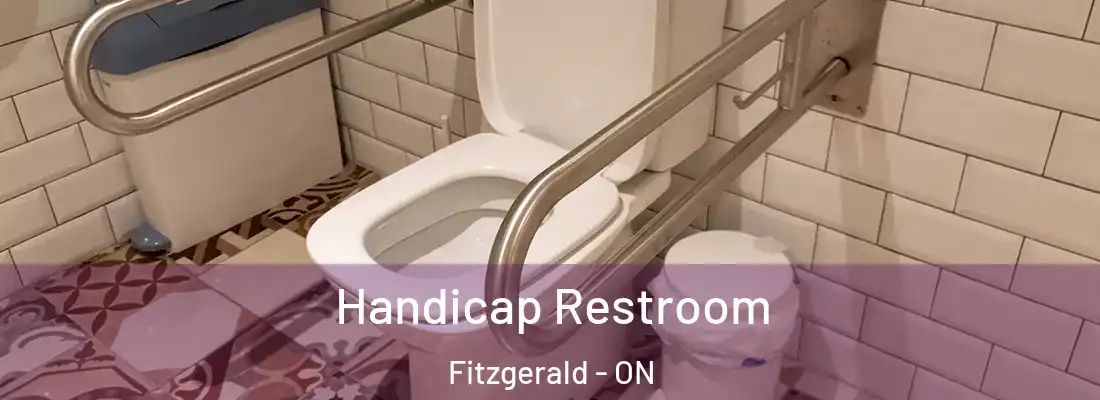  Handicap Restroom Fitzgerald - ON