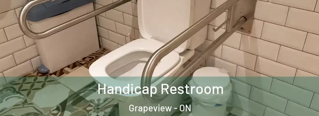  Handicap Restroom Grapeview - ON