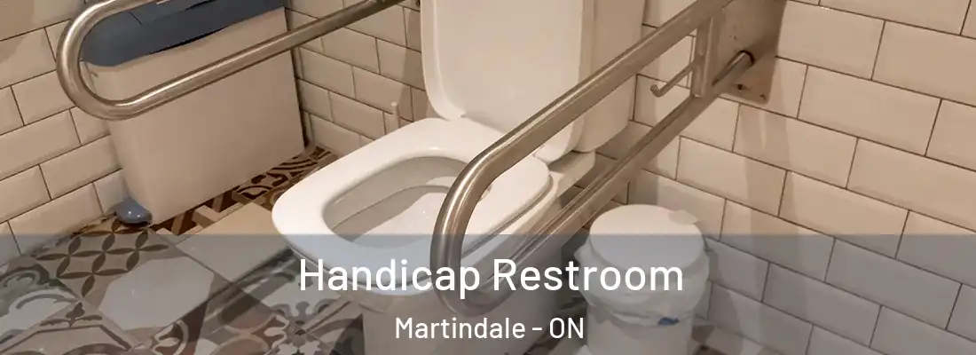  Handicap Restroom Martindale - ON