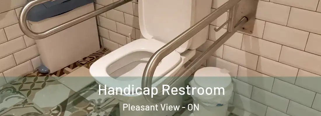  Handicap Restroom Pleasant View - ON