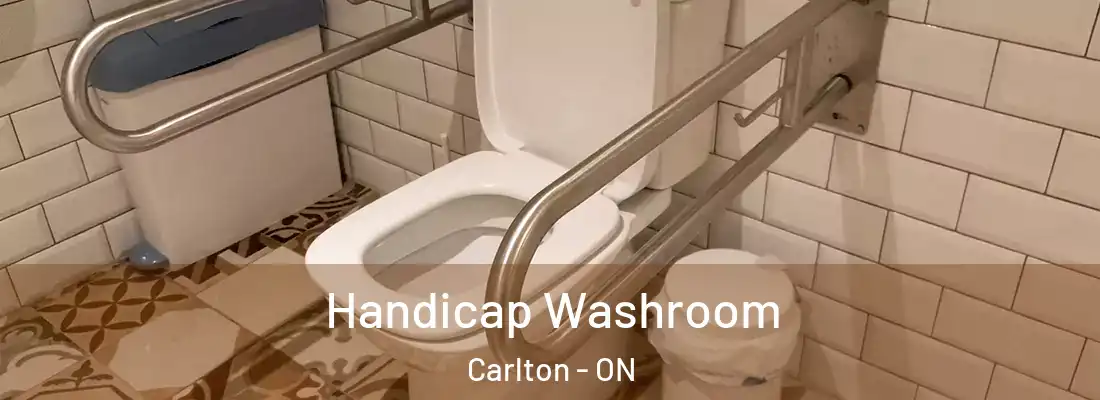  Handicap Washroom Carlton - ON