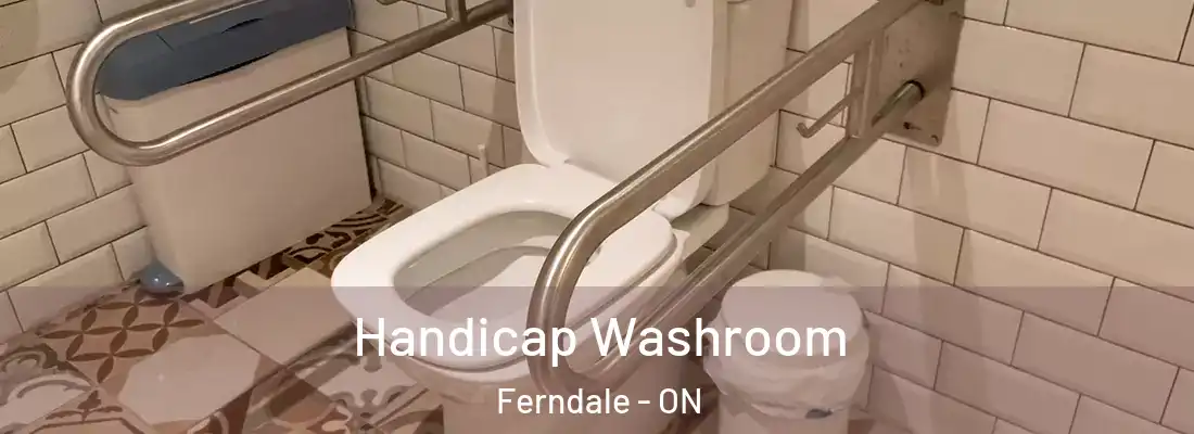  Handicap Washroom Ferndale - ON