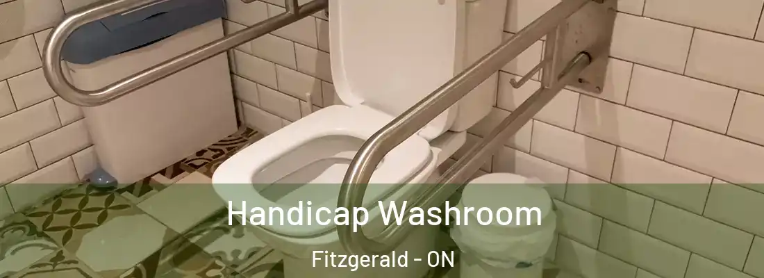  Handicap Washroom Fitzgerald - ON