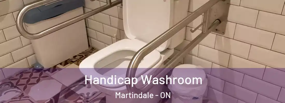  Handicap Washroom Martindale - ON