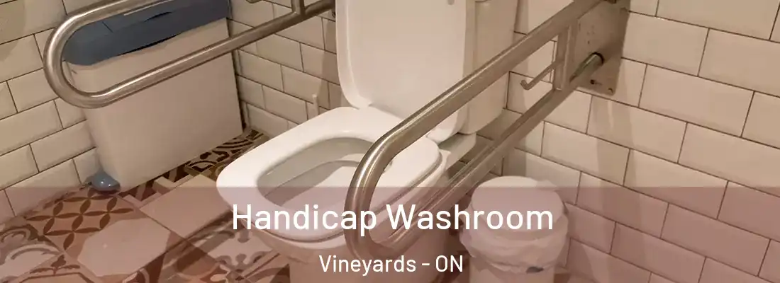  Handicap Washroom Vineyards - ON