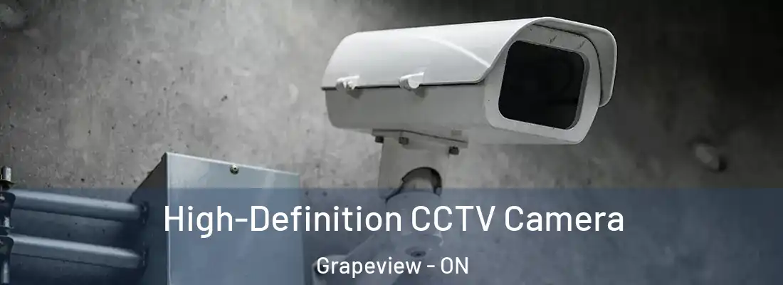  High-Definition CCTV Camera Grapeview - ON
