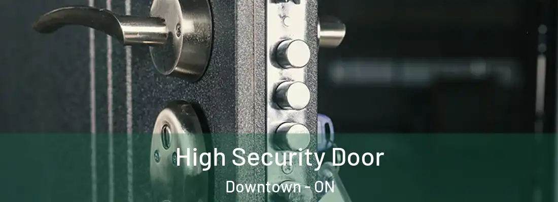  High Security Door Downtown - ON