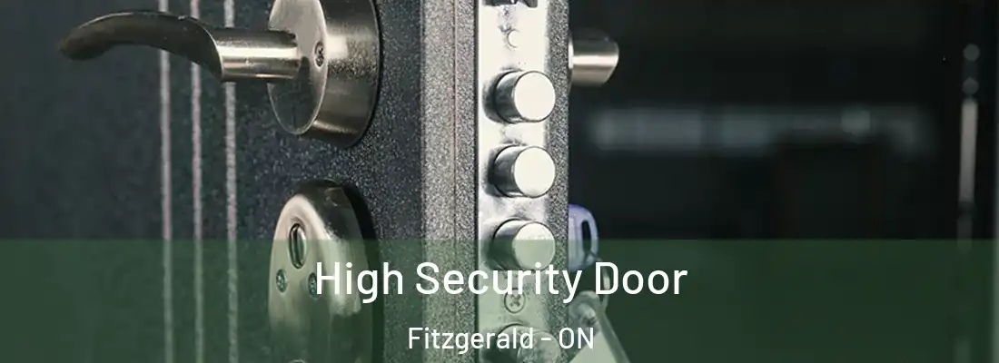  High Security Door Fitzgerald - ON