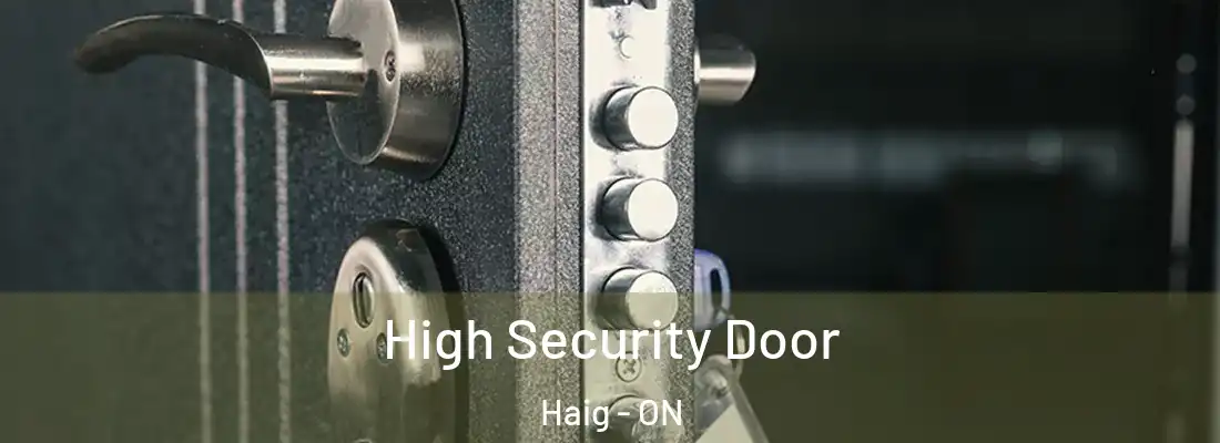  High Security Door Haig - ON