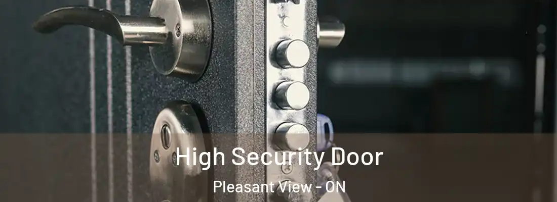  High Security Door Pleasant View - ON