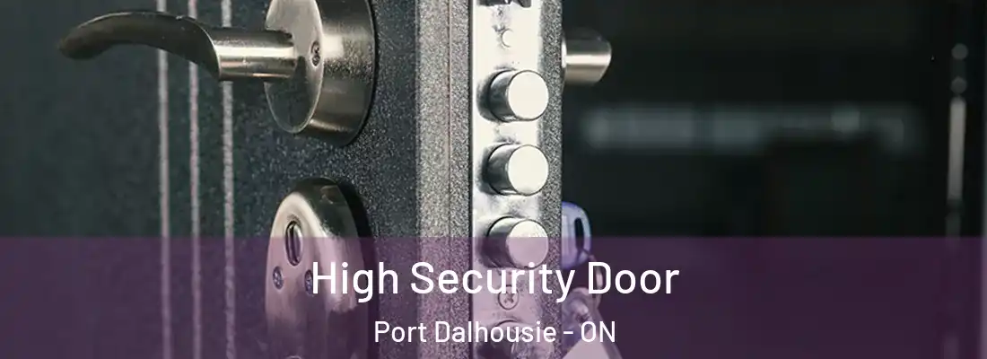  High Security Door Port Dalhousie - ON