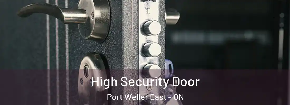  High Security Door Port Weller East - ON