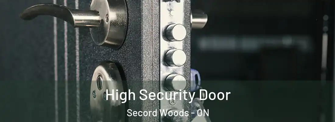  High Security Door Secord Woods - ON