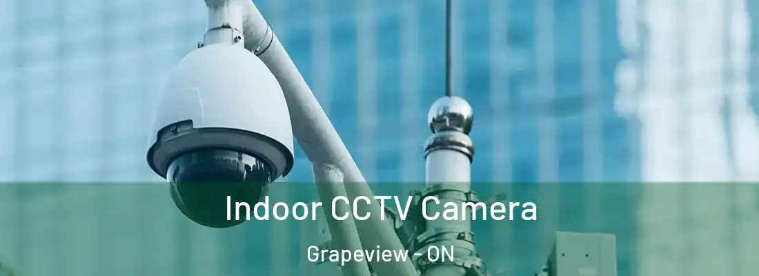  Indoor CCTV Camera Grapeview - ON